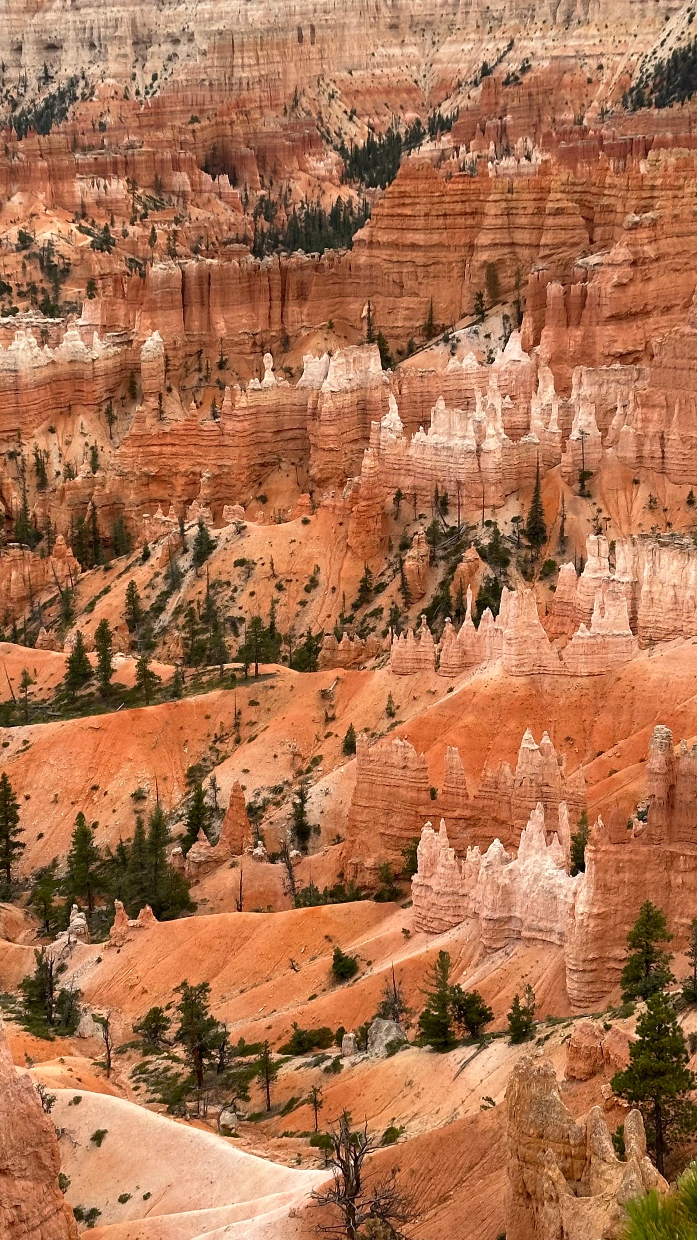 Bryce Canyon hoodoo formations rising from the Utah plateau