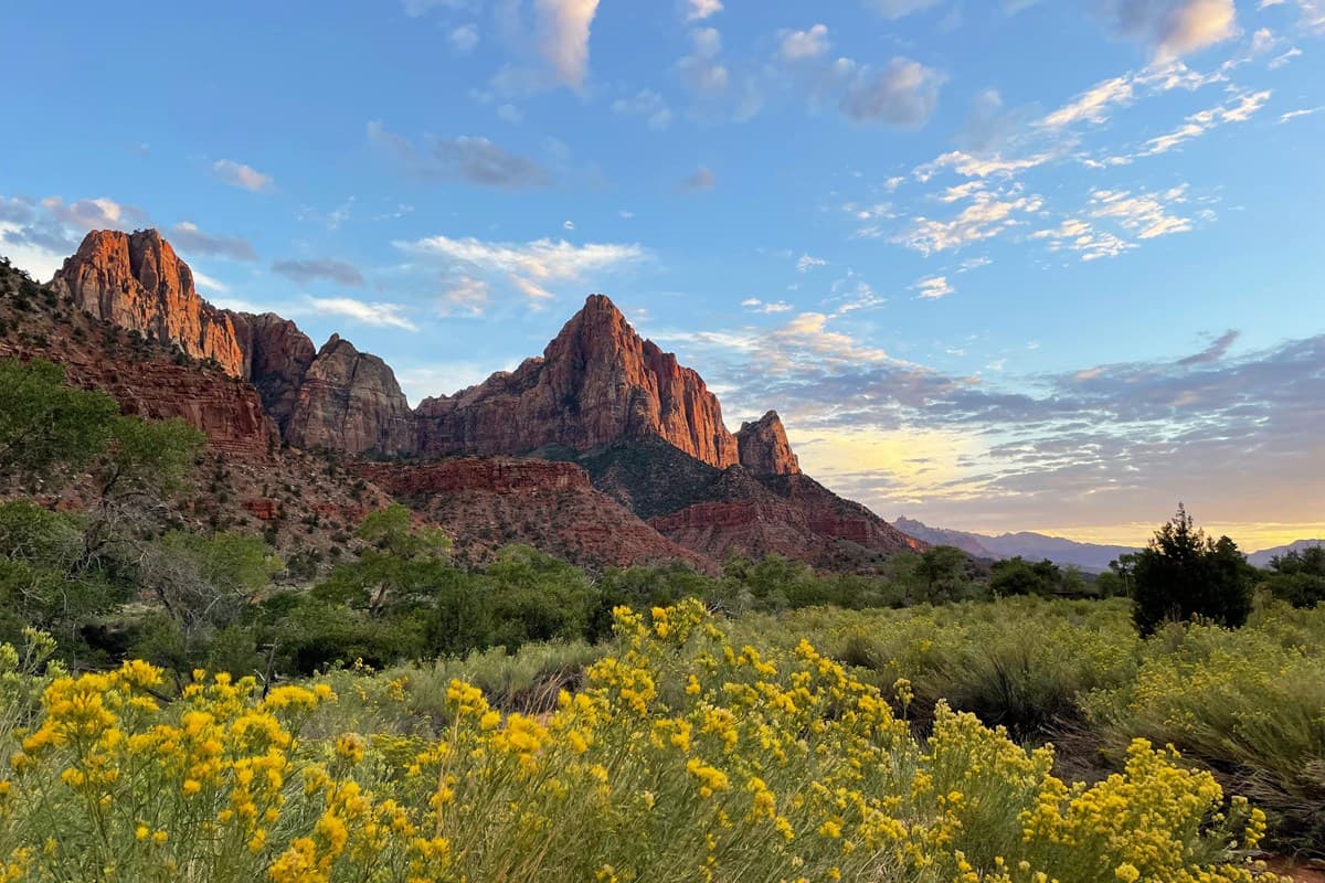 Zion National Park hiking trails overview