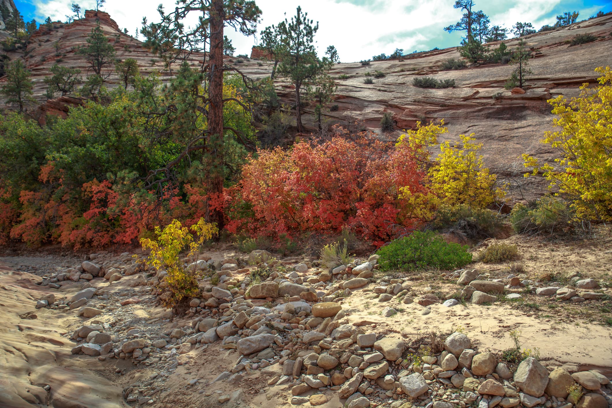 Zion Canyon walls in autumn