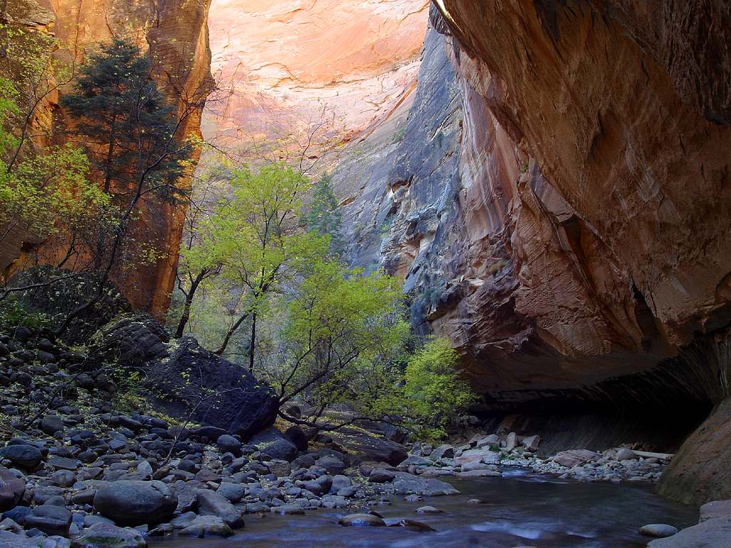 The Narrows slot canyon wading hike in Zion National Park